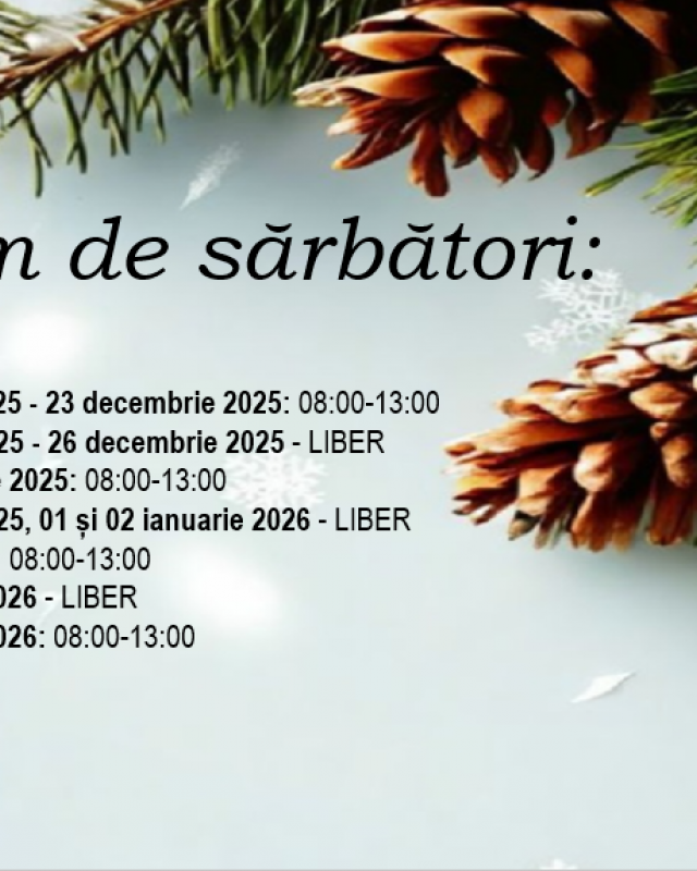 PROGRAM DE SARBATORI